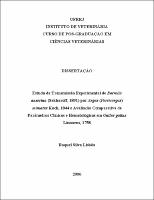 2006 - Raquel Silva Lisbôa.pdf.jpg