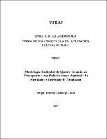 2007 - Sergio Trabali Camargo Filho.pdf.jpg