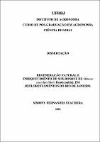 2003 - Simony Fernandes Stachera.pdf.jpg