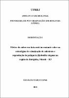 2013 - Isabela dos Santos Schwan.pdf.jpg