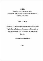 2012 - Fernando Silva Coutinho.pdf.jpg