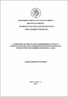 2015 - Juliana Sakagawa Prataviera.pdf.jpg