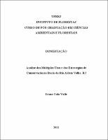2011 - Ivana Cola Valle.pdf.jpg