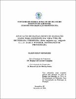 2006 - Nilber Kenup Hernandes.pdf.jpg