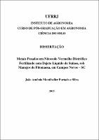 2015 - João Antônio Montibeller Furtado e Silva.pdf.jpg