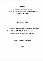 2014 - Flávia Caldeira do Nascimento.pdf.jpg