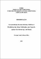 2013 - Giovane Leal de Souza Silva.pdf.jpg