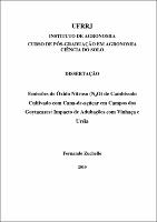 2010 - Fernando Zuchello.pdf.jpg