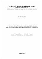 2019 - Rodrigo Fernando de Oliveira Borges.pdf.jpg