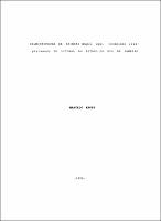 1990 - Marcelo Knoff.pdf.jpg